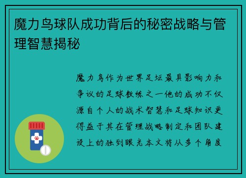 魔力鸟球队成功背后的秘密战略与管理智慧揭秘 魔力鸟球队成功背后的秘密战略与管理智慧揭秘